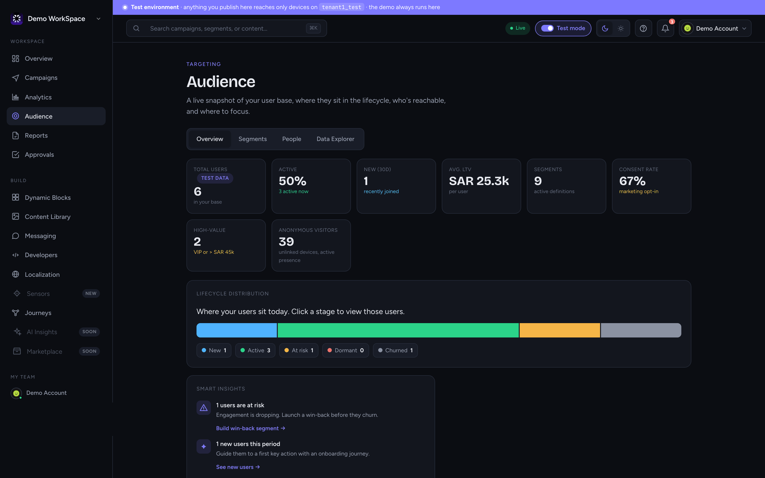The Audience overview in ContentFlow, with lifecycle distribution and reachability. Figures shown are test data.